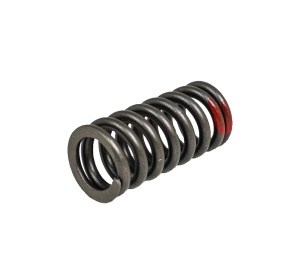 Пружина клапана ZS174MN-3 (CBS300), ZS177MM