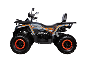 Квадроцикл H250 BIG NEW Lux (баланс. вал) 2025 (A)
