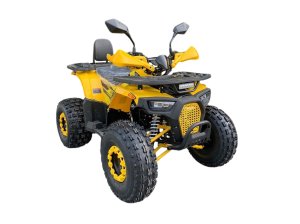 Квадроцикл ATV R-moto Lion 125 AR