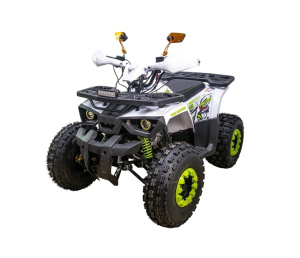 Квадроцикл Avantis H8 NEW 2025 (125 см3)