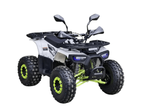 Квадроцикл ATV R-moto Lion AR lite