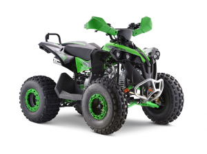 Квадроцикл ATV Yacota RENEGADE mini 110
