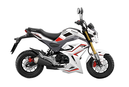 Мотоцикл PROMAX STRYKER 200 OFF-ROAD 2.0
