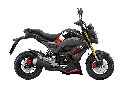 Мотоцикл PROMAX STRYKER 200(49) OFF-ROAD 2.0